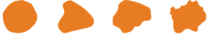 grain shapes